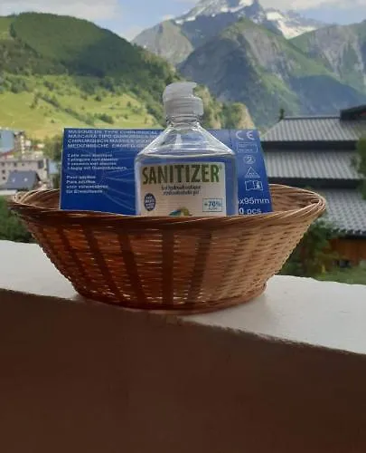 Standing Le Pluton Wifi Parking Prive C100 *